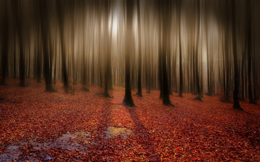 766900 (a): :1920x1200